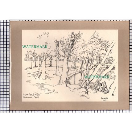 Richmond Park Surrey Entwisle - c.1969 Print
