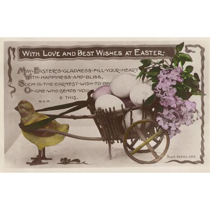 Chick Bird Transportation Easter Suffocating Transport Old RPC Postcard