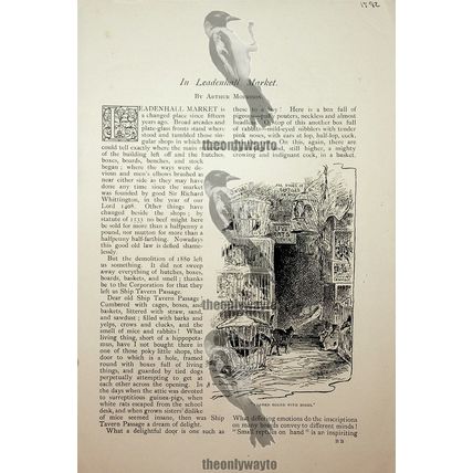 In Leadenhall Market, London, 8 Page Book Article, 1893