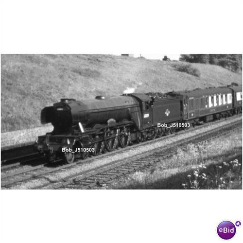 60109 HERMIT @ BROOKMANS PARK 62