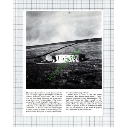 Newby Head Farm Yorkshire - Cutting