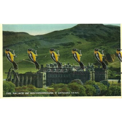 Palace of Holyroodhouse & Arthurs Seat, Edinburgh, Dennis Newcolour Postcard