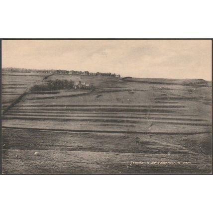 Terraces at Borcovicus, Northumberland, c.1905-10 - Gibson & Son Postcard