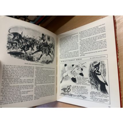 1954 "EAGLE ANNUAL NUMBER 4" DAN DARE ILLUSTRATED HARDBACK BOOK (P5)