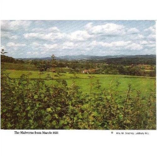 Marcle Hill, Herefordshire - Malverns - local postcard