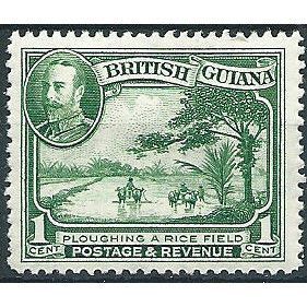 British Guiana 1934 SG288 1c Green Mounted Mint .. ..