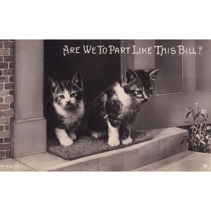 Sad Kittens Parting To New Owners Antique Cat Real Photo Comic Postcard
