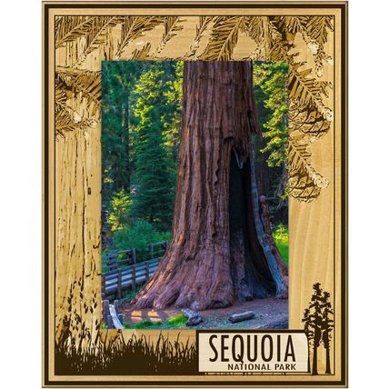 Sequoia National Park with Tree's Laser Engraved Picture Frame Portrait (3 x 5)