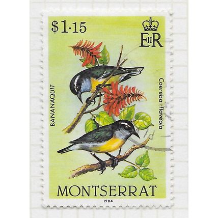 MONTSERRAT 1984 BIRDS BANANAQUIT COEREBA FLAVEOLA USED