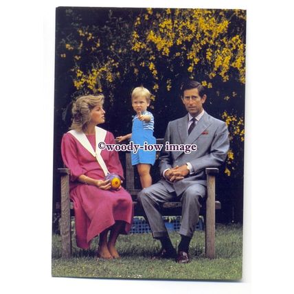pq0047 - Princess Diana , Prince Charles and baby Prince William - postcard