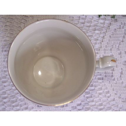Royal Prague Lesov Concordia Fine Bohemia Porcelain Czech Republic Teacup Saucer