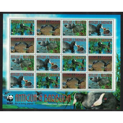Antigua and Barbuda Birds WWF Caribbean Coot Sheetlet of 4 sets 2009 MNH