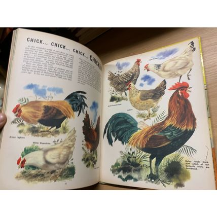 1968 "THE THIRD TREASURE BOOK OF ANIMALS" ANNUAL HARDBACK BOOK (P4)