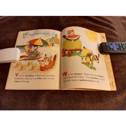 Chipmunk's By Roberta Miller (C) Edition 1969