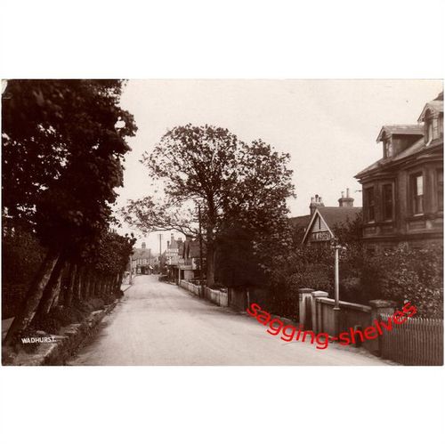 Sussex - WADHURST - The Walk/High Street - RP - c.1915/20