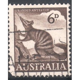 Australia 1959 - SG316 - 6d brown - Numbat - used