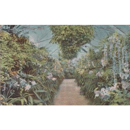 Finsbury Park Garden Path Flowers Antique Postcard