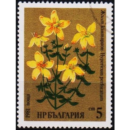 Bulgaria. 1981 5s S.G.2913 Used