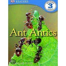 Ant Antics