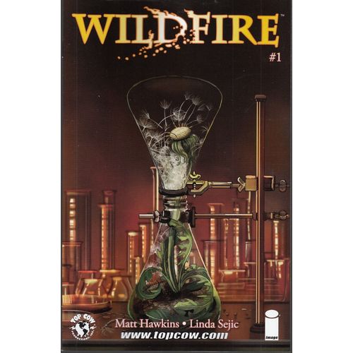 WILDFIRE #1A LINDA SEJIC (1st Print) Image Matt Hawkins & Linda Sejic