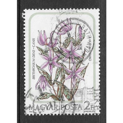 HUNGARY 1985 FLOWER DOUBLED FRANKING UK BATH 2Ft