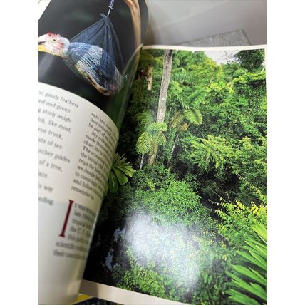 National Geographic Magazine January 1994 Macaws - Vintage Collectable p2