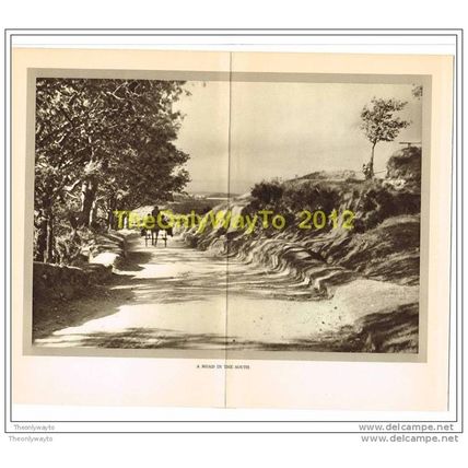 ROAD IN THE SOUTH, Book Illustration, 1930