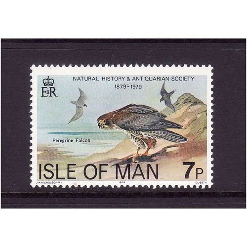 ISLE OF MAN 1979 SG 145 7p PELEGRINE FALCON U/M MINT #2