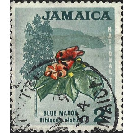 JAMAICA, FLOWER, Blue Mahoe, Hibiscus elatus, green 1964, 2c, #2