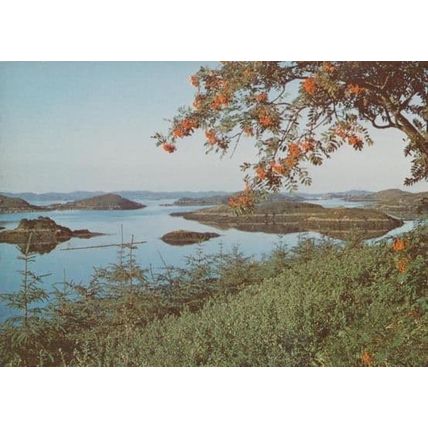 Drumbeg Road View Sutherland DRG 1970s Scottish Postcard