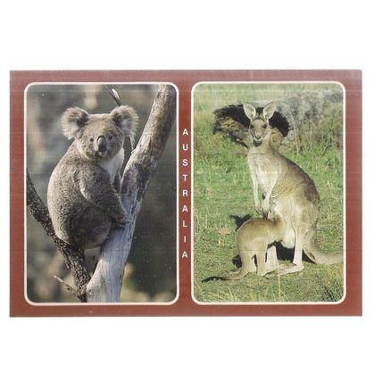 KANGAROO and KOALA BEAR, AUSTRALIA used postcard 1987 postmark =