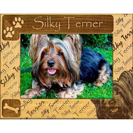 Silky Terrier Laser Engraved Wood Picture Frame (5 x 7)