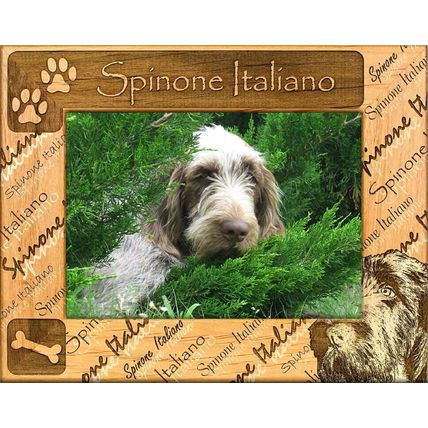 Spinone Italiano Laser Engraved Wood Picture Frame (5 x 7)