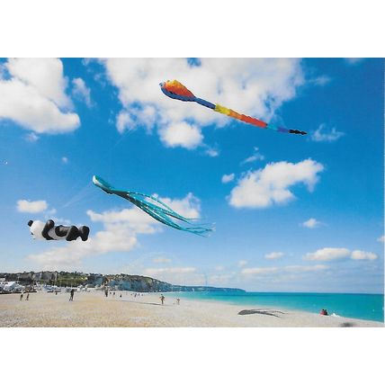 G 631: Normandy: Dieppe: Gathering of kites on the beach