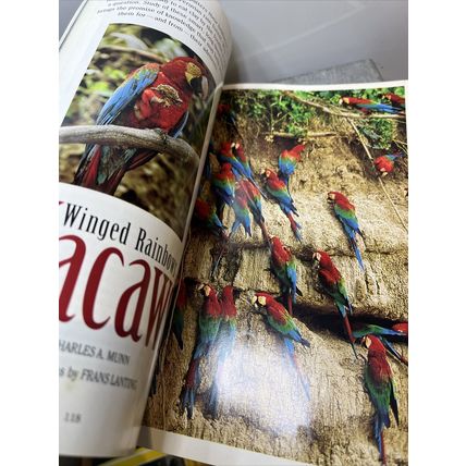National Geographic Magazine January 1994 Macaws - Vintage Collectable p2