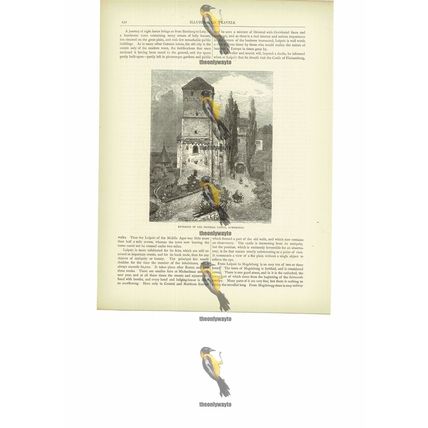 Imperial Castle Entrance, Nuremberg, Germany, Book Illustration (Print), c1880