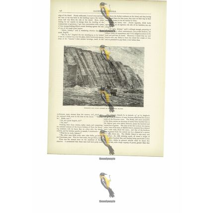 Guano Deposit Workings, Chincha Islands, Peru, Book Illustration, c1880