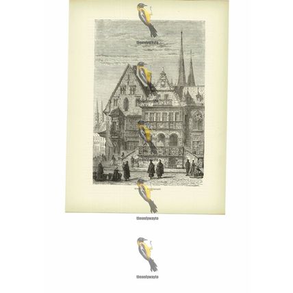 Halberstadt, Town Hall, Saxony-Anhalt, Germany, Book Illustration (Print), c1880
