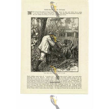 Tiger Sprang Up The Bank, Victorian Life, Book Illustration, 1887