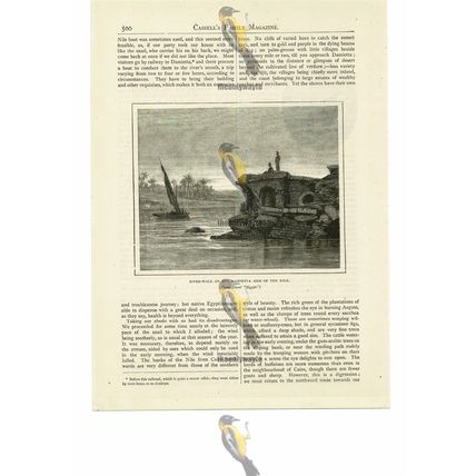 River Wall, Damietta Arm Of The Nile, Egypt, Book Illustration (Print), 1887