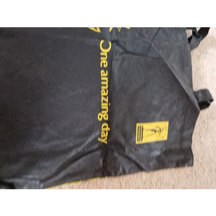 Vintage Millennium Dome Bag