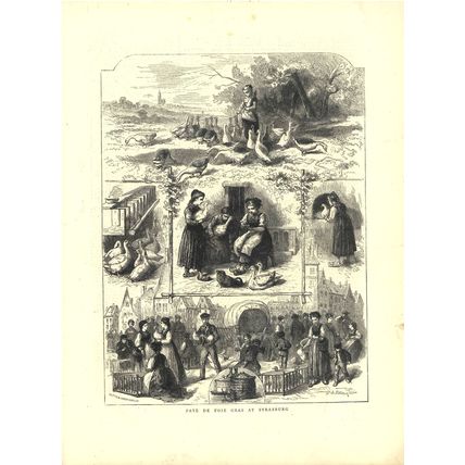 PATE DE FOIE GRAS AT STRASBURG 1872 Paul de Katow VICTORIAN ENGRAVINGS