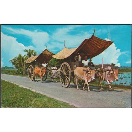 Bullock-Cart, Malacca, c.1960s - SW Postcard