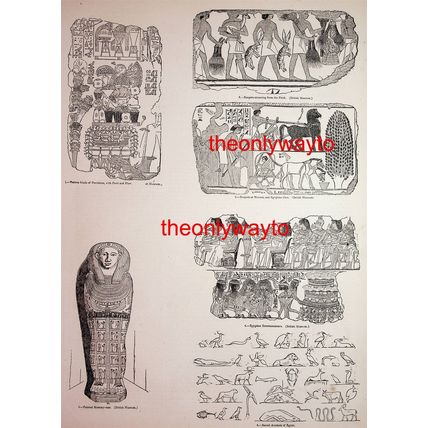 Sacred Animals Of Egypt, Painted Mummy, 6 Images, Book Illustration, 1850