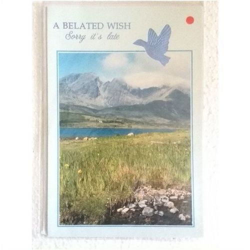 A Belated Wish - Sorry it's Late #2