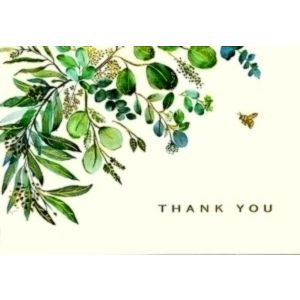 Eucalyptus Thank You Note Cards (14 Cards, 15 Self-Sealing Envelopes) by Peter P