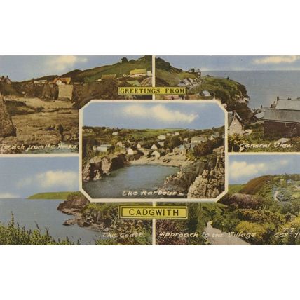 Greetings From Cadgwith Cornwall Fishing Village 1950s Postcard