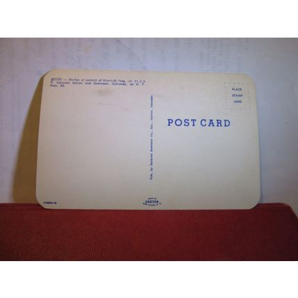 CONTINENTAL DIVIDE, MONARCH PASS, COLORADO, USA unused postcard =