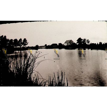 Aurigny-Sur-Nere, Parc Des Sports, France, 24 RP Macon Postcard