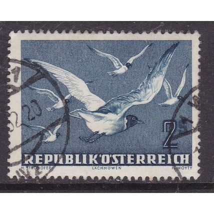 Austria 1950 Black Headed Gulls 2s Used SG 1217 VGC